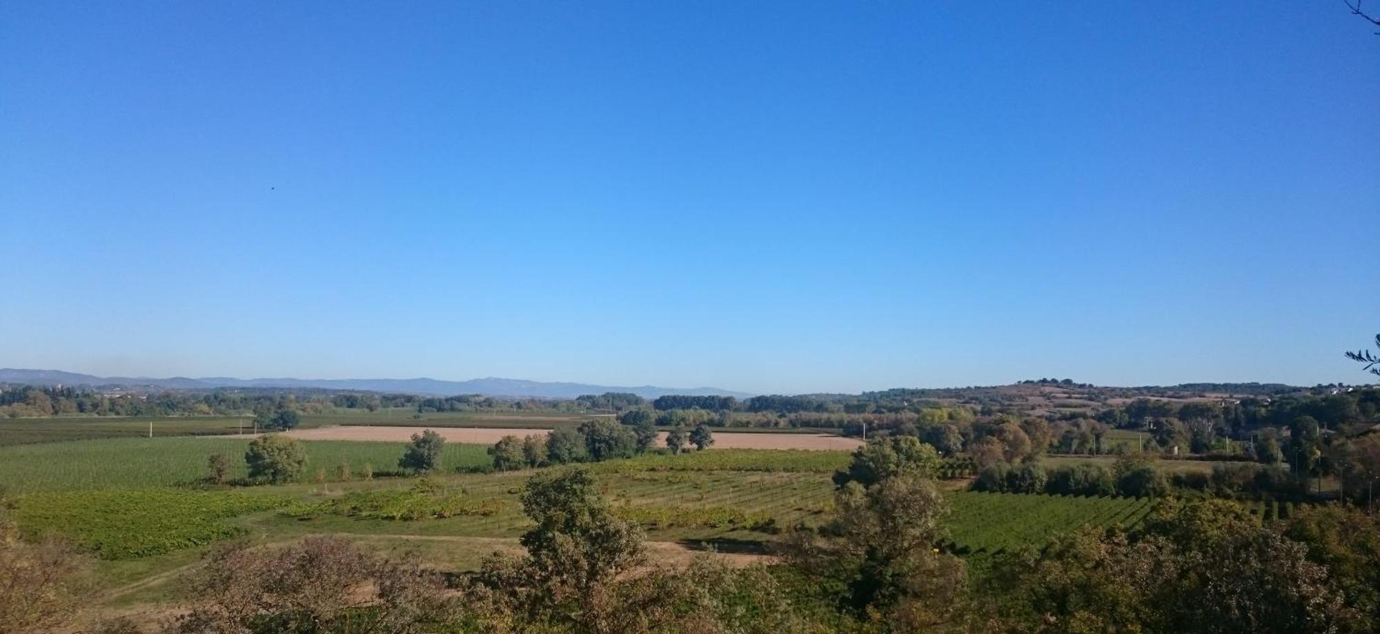 Camping Les Amandiers Castelnau-de-Guers 외부 사진